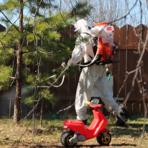 Обработка участка от клещей в Талдыкоргане?